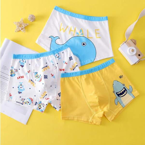 

Boys 3pcs Cartoon & Letter Graphic Boxer Brief, Multicolor