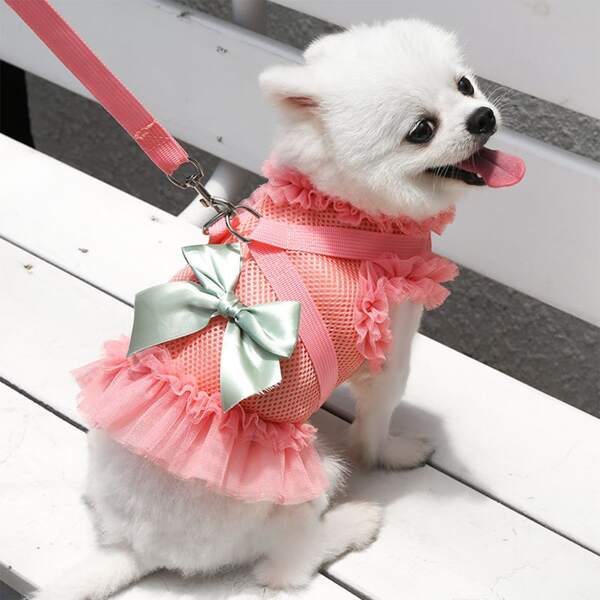 

1pc Bow Decor Pet Harness & 1pc Leash, Multicolor