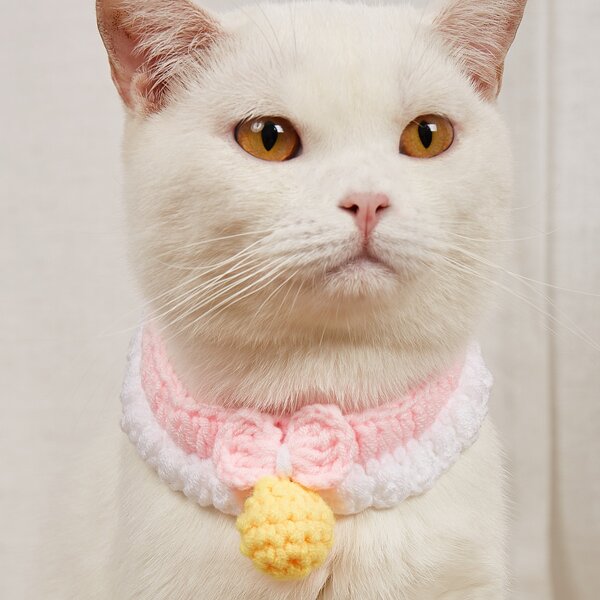 

Woven Pet Necklace, Multicolor