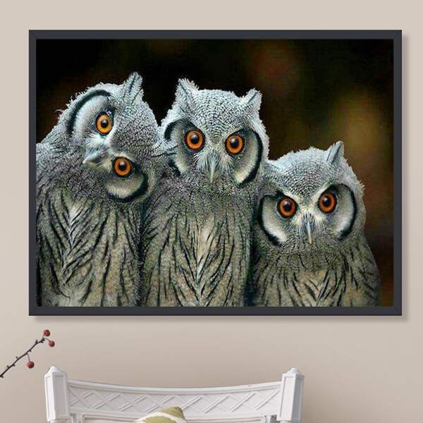 

Owl Print DIY Diamond Unframed Painting, Multicolor