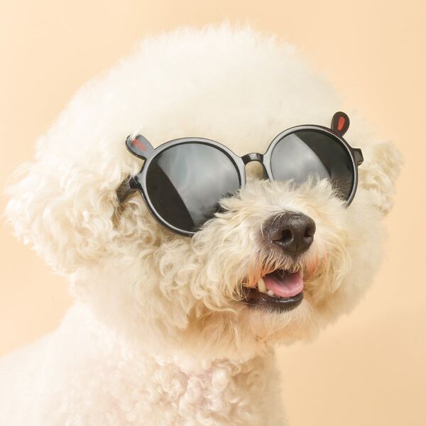 

1pair Cartoon Pet Glasses, Black