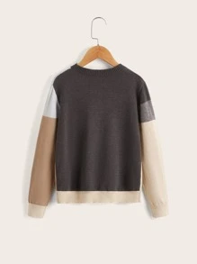 SHEIN Boys Colour Block Jumper - Multicolor - View 2