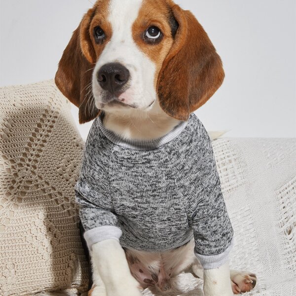 

Paw Print Pet Sweatshirt, Grey