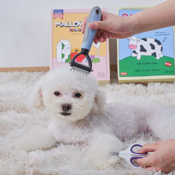 

2pcs Pet Hair Comb & Nail Clipper Set, Multicolor