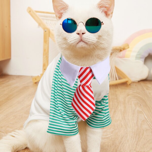 

1pc Pet Sunglasses & 1pc Pet Tie, Multicolor