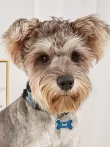 1pc Bone Shaped Glitter powder Pet ID Tag For Decoration