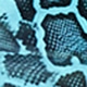 Multicolor