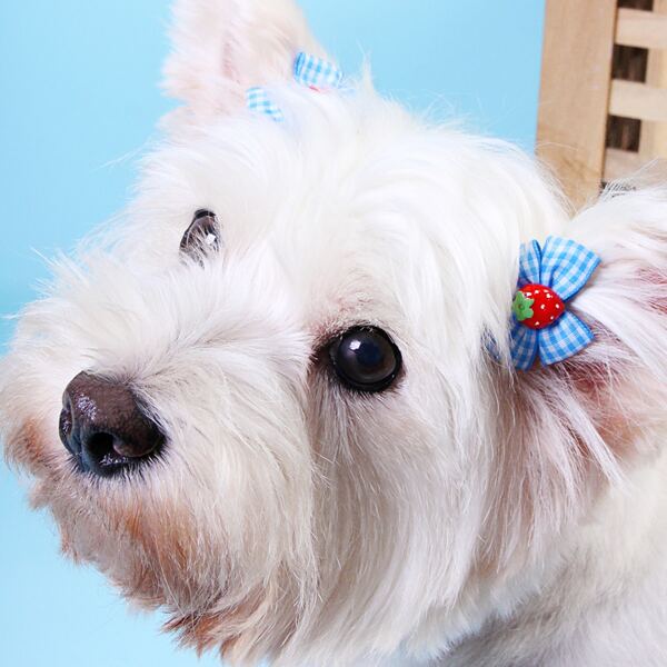 

2pcs Pet Bow Hair Clip, Multicolor