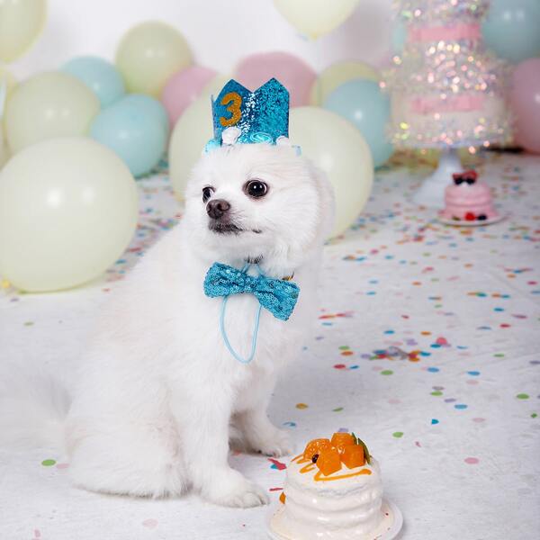 

1set Pet Sequin Bow & Pet Hat, Multicolor