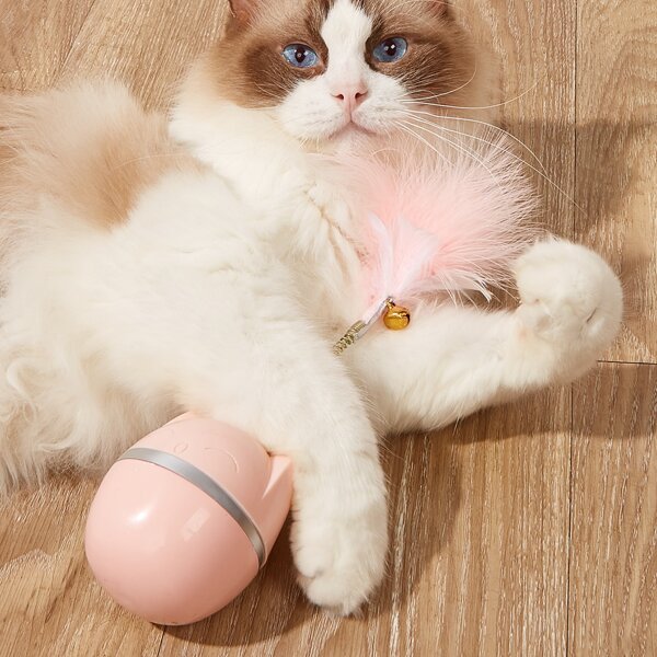 

Feather Detail Cat Teaser Toy, Pink