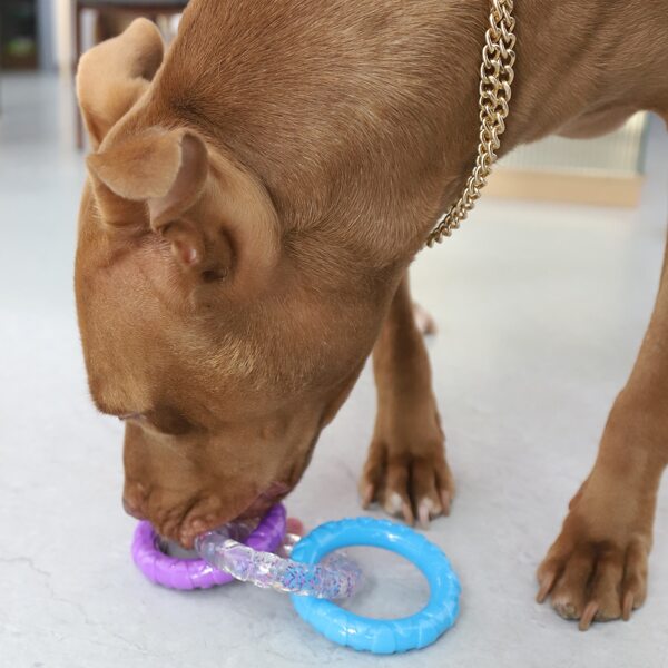 

3pcs Ring Shaped Pet Training Toy, Multicolor
