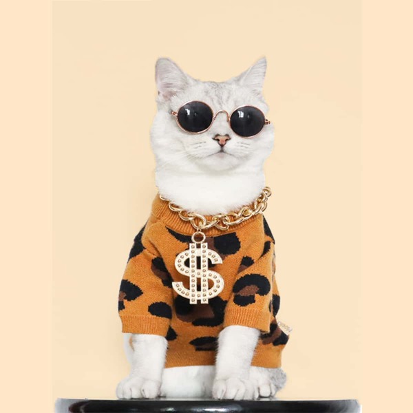 

1pc Pet Chain Necklace & 1pair Glasses, Multicolor