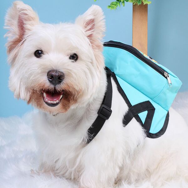 

Cartoon Graphic Pet Bag, Multicolor