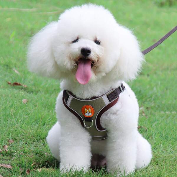 

1pc Cartoon Dog Pattern Pet Harness & 1pc Leash, Multicolor
