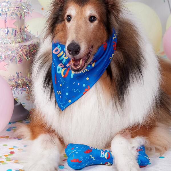 

2pcs Pet Bandana & Bone Shaped Toy Set, Multicolor