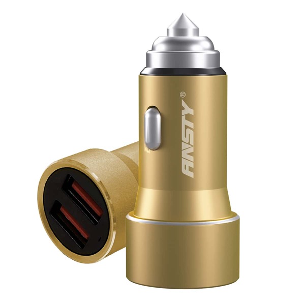 

2 Port USB Car Charger, Gold