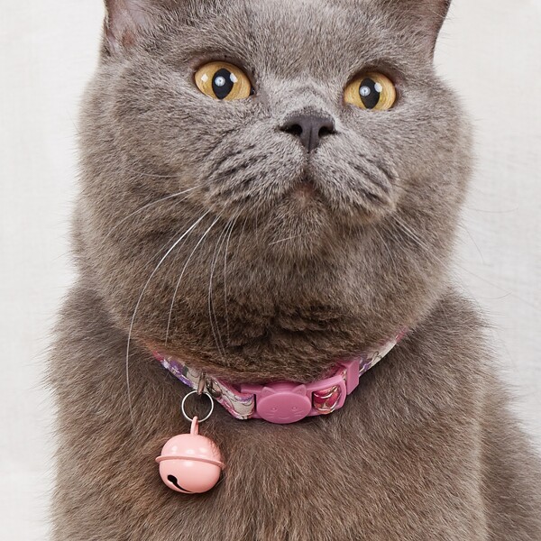 

Bell Pendant Pet Collar, Multicolor