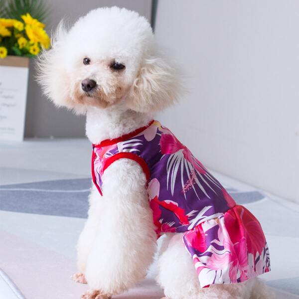 

Flower Print Pet Dress, Multicolor