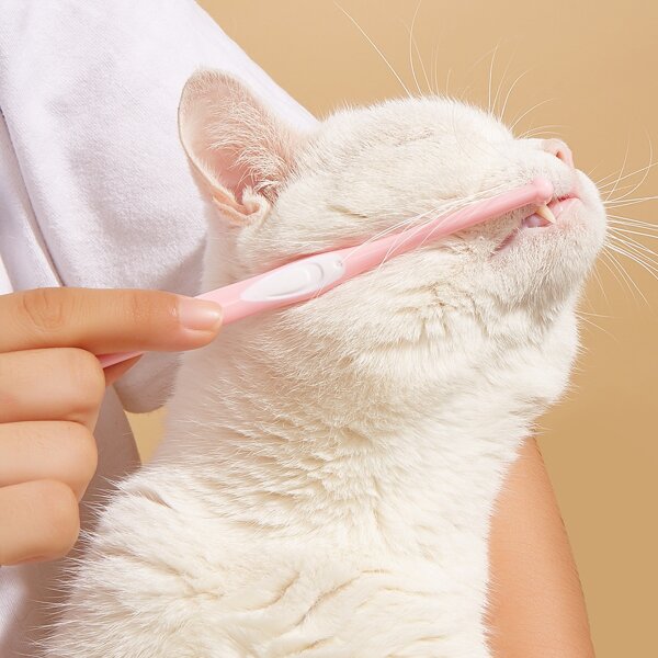 

1pc Color Block Pet Toothbrush, Pink