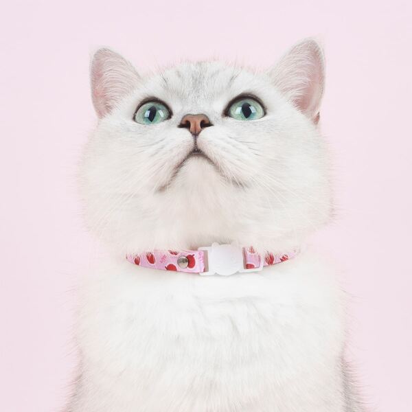 

Apple Print Pet Collar, Pink