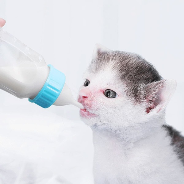

1pc Random Color Pet Feeding Bottle, Multicolor