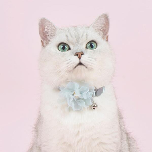 

1pc Flower Decor Pet Collar, Baby blue