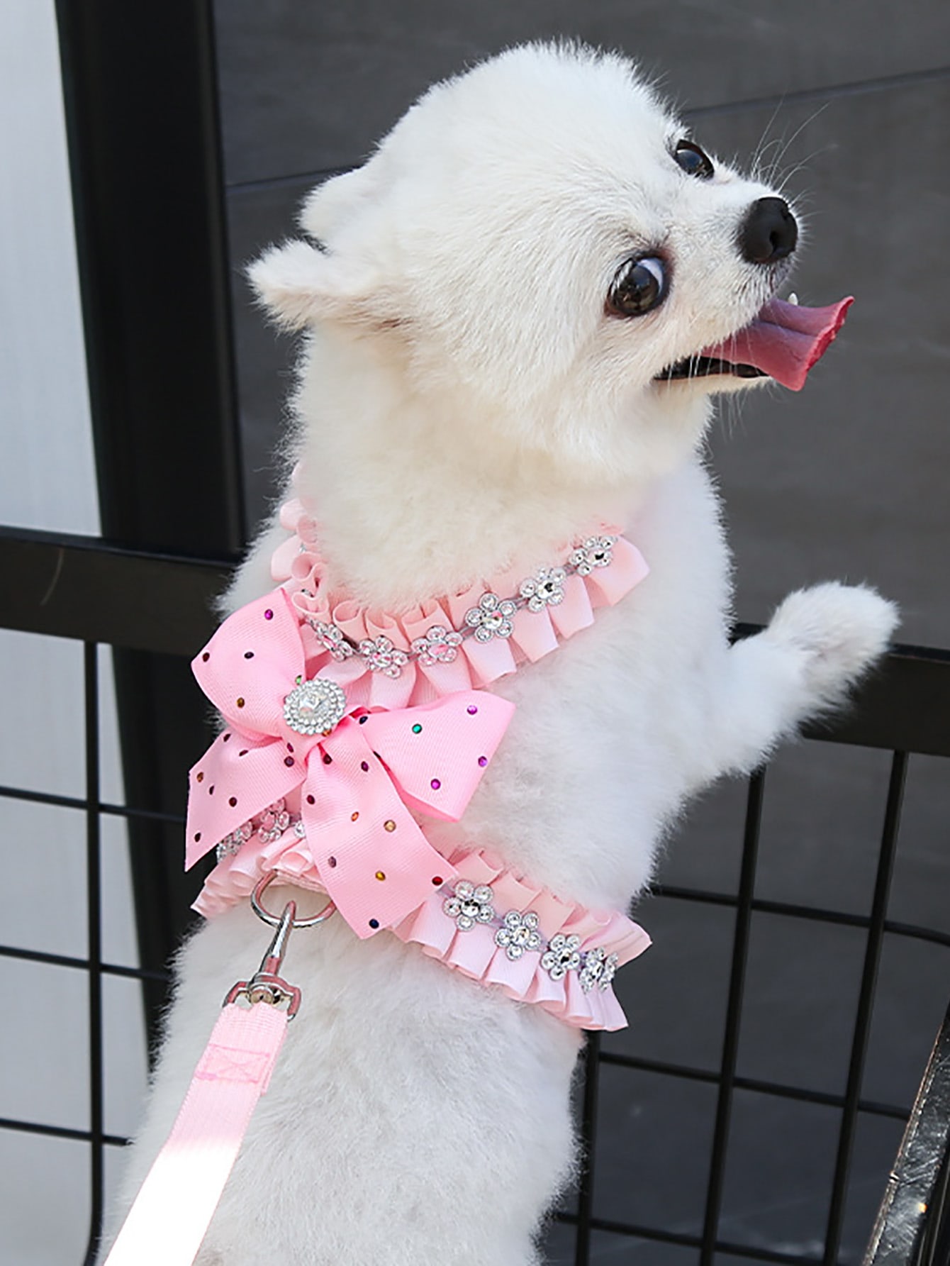 chi chi petite leasha dress