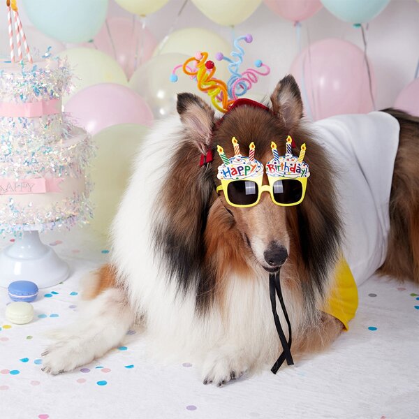 

1pc Birthday Party Pet Glasses, Yellow
