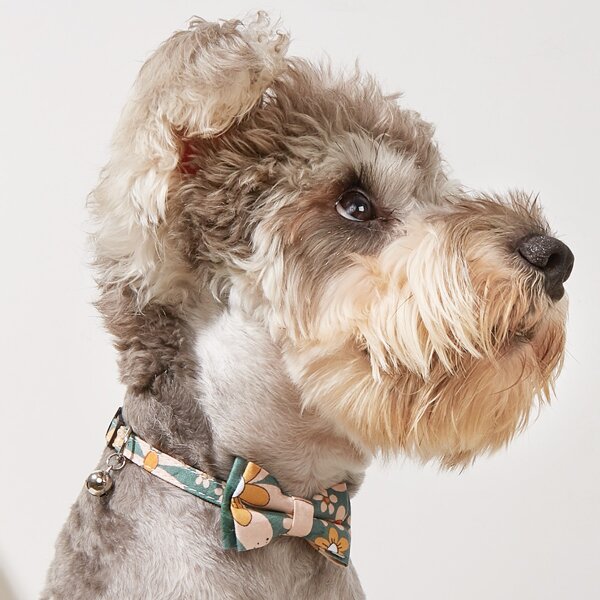

Flower Print Bow Decor Pet Collar, Green