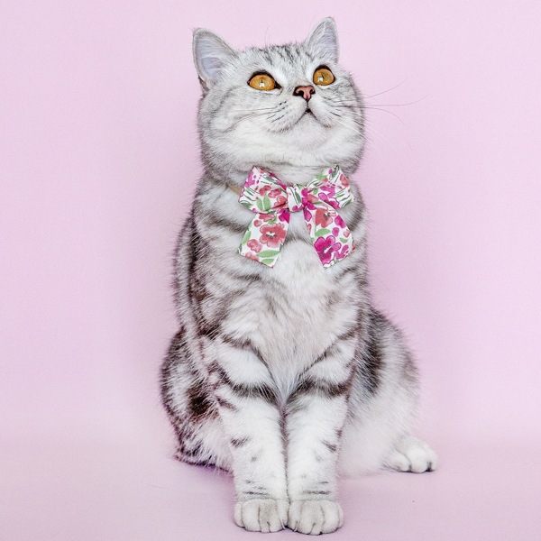 

Flower Print Pet Bow, Multicolor