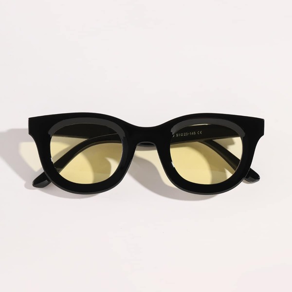 

Tinted Lens Sunglasses