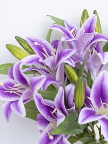 1 pieza lirio artificial - Morado - Ver 2