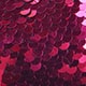 Rosa Fucsia