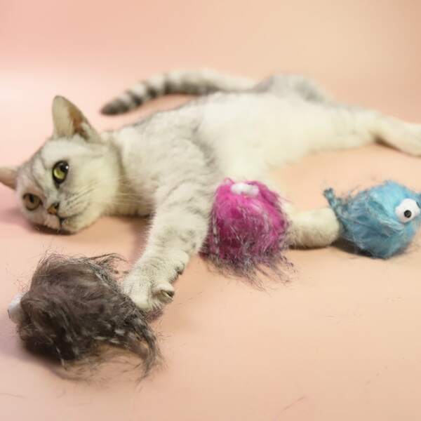 

3pcs Plush Cat Teaser Toy, Multicolor