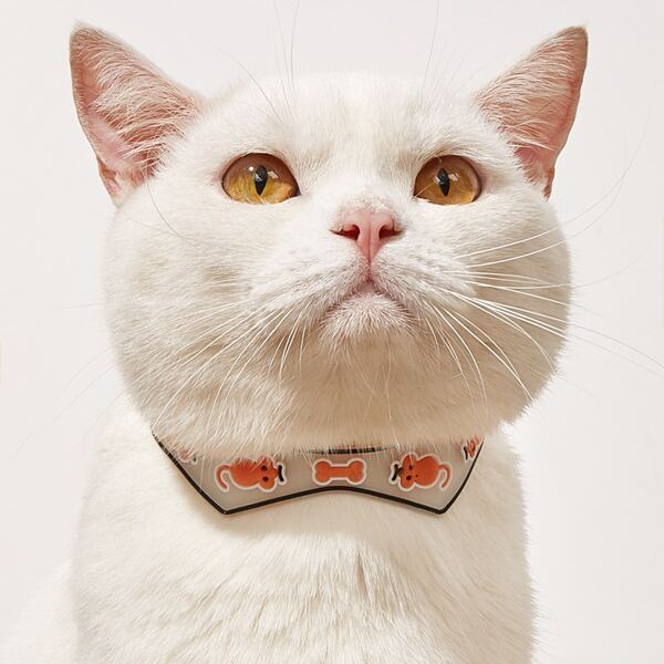 

1pc Cartoon Graphic Glow Pet Collar, Orange
