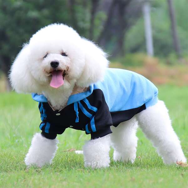 

Striped Print Pet Hoodie, Blue