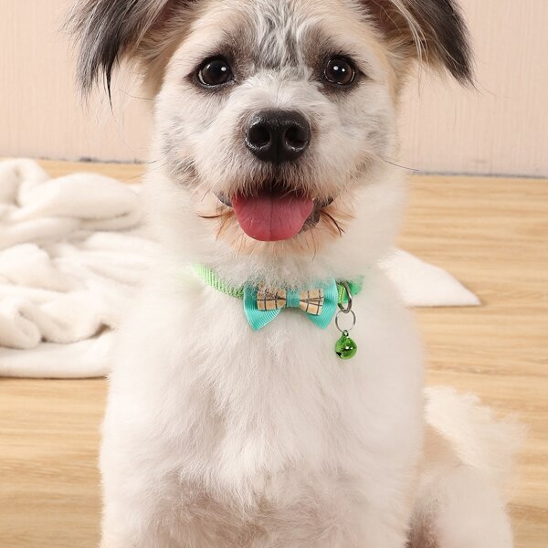 

Bow Decor Pet Collar, Green