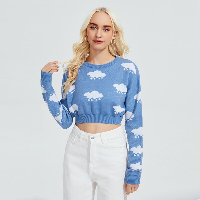 

Cloud Pattern Crop Sweater, Blue