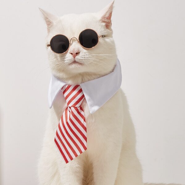 

1pc Pet Sunglasses & 1pc Striped Print Pet Tie, Multicolor