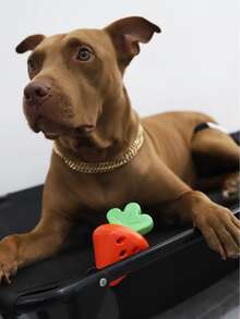 1pc Strawberry Shaped Pet Leaking Food Toy - Multicolor - View 2