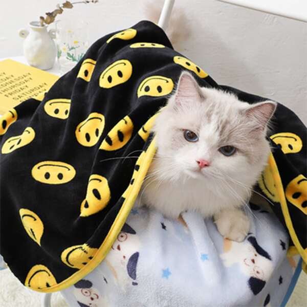 

Cartoon Graphic Pet Blanket, Multicolor
