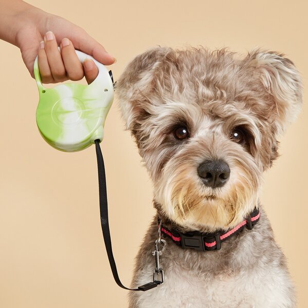 

1pc Retractable Pet Leash, Green