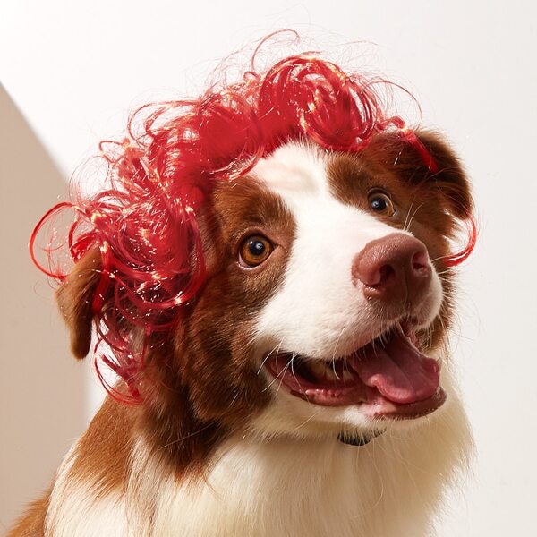 

1pc Pet Wig, Red