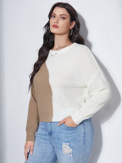 SHEIN Unity Plus Color Block Drop Shoulder Sweater