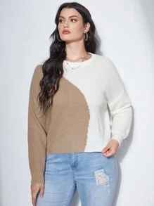 SHEIN Unity Plus Color Block Drop Shoulder Sweater