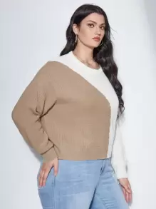 SHEIN Unity Plus Color Block Drop Shoulder Sweater