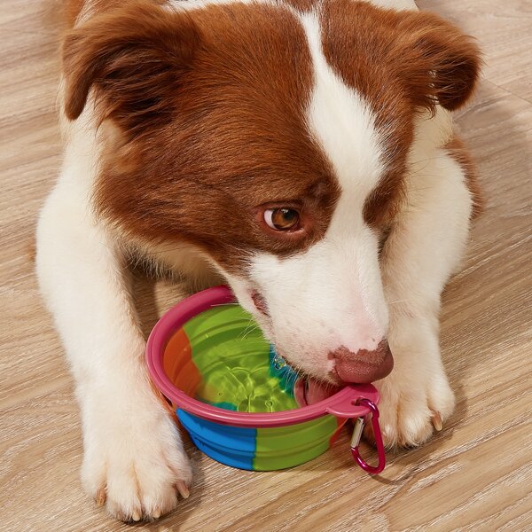 

1pc Collapsible Pet Travel Bowl, Multicolor