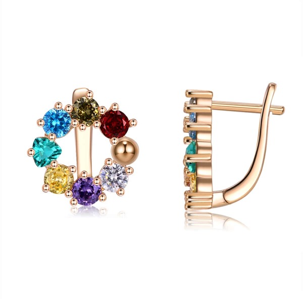 

14K Gold Plated Zircon Decor Earrings