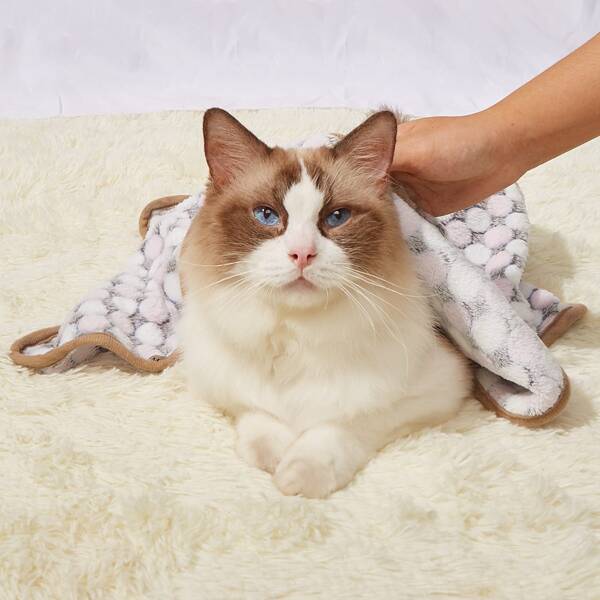 

Polka Dot Print Pet Blanket, Multicolor