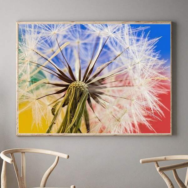 

Dandelion Print Diamond Painting Without Frame, Multicolor